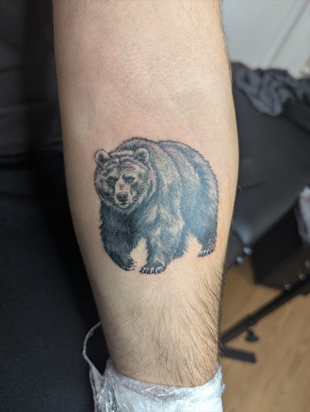 Black and grey bear tattoo on a forearm