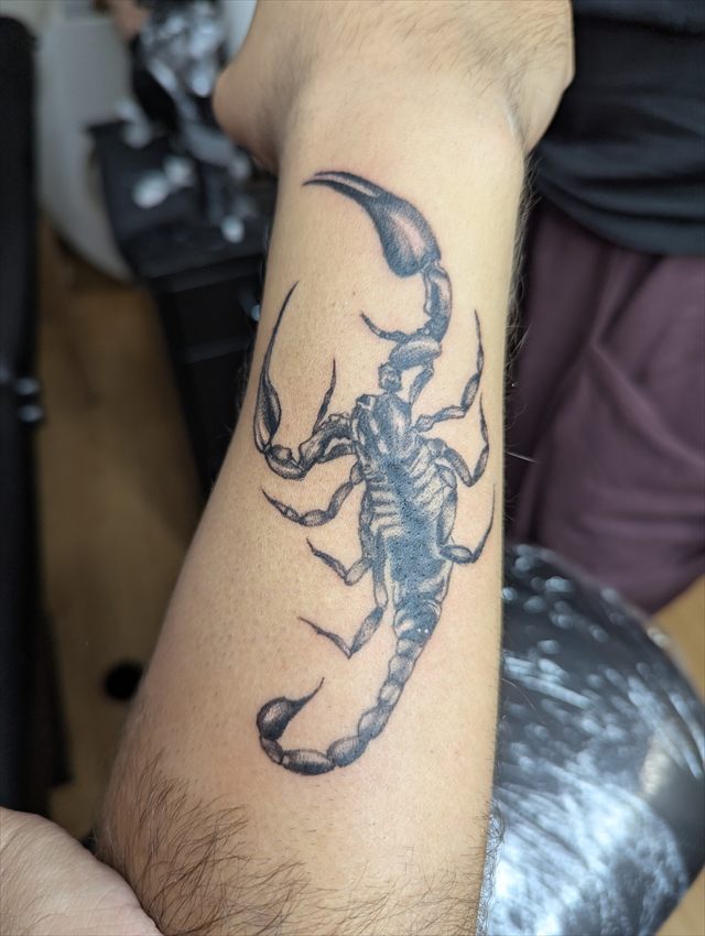Black and grey scorpion tattoo on a forearm